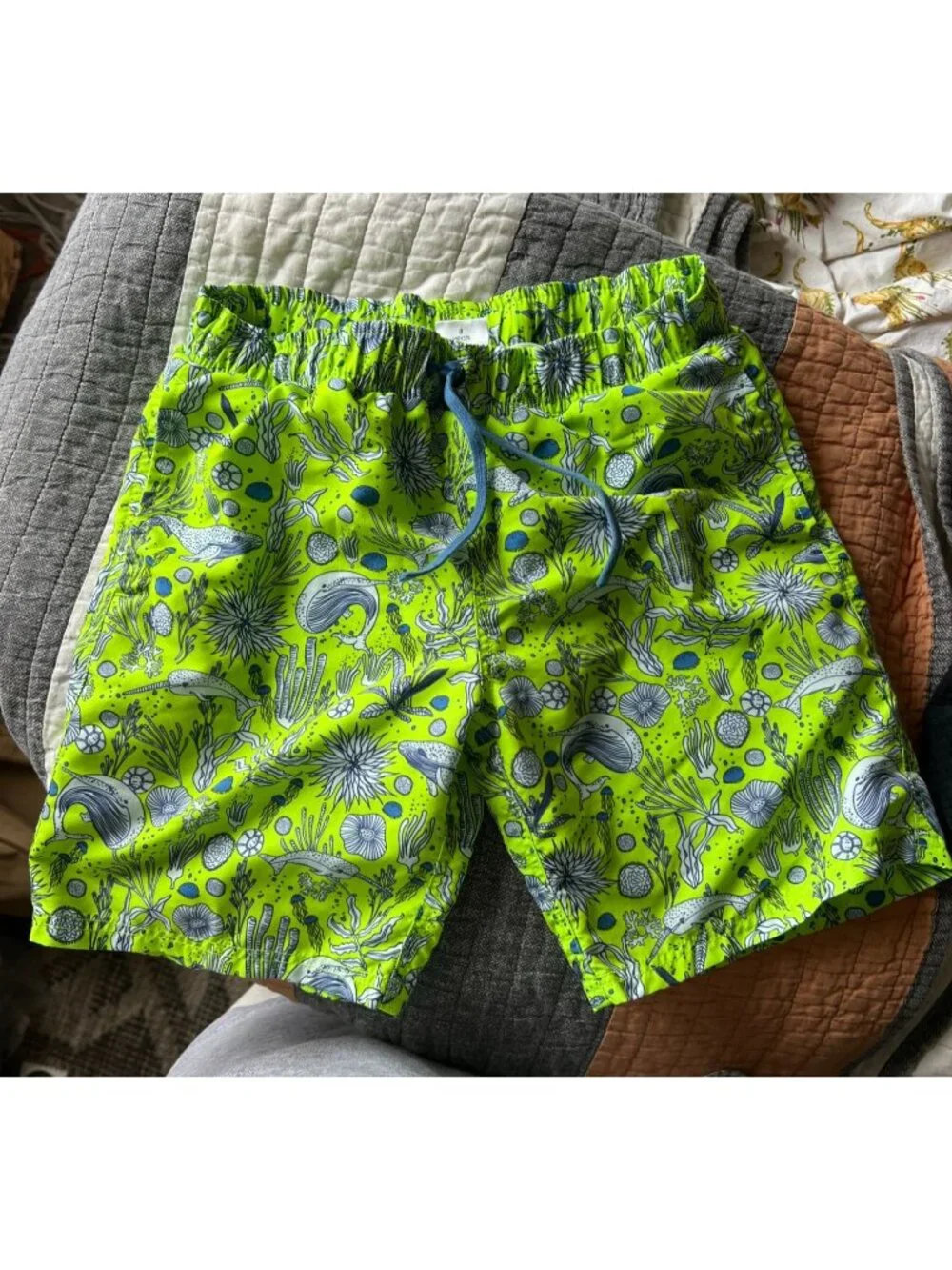Lime Green Marine Life Patterned  Swim Trunk Shorts by EGG susan Lazar Size 8